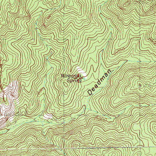 Topographic Map of Wiregrass Spring, NV
