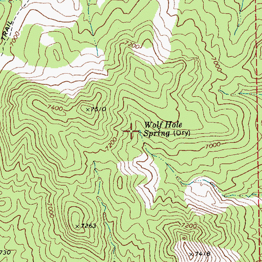 Topographic Map of Wolf Hole Spring, NV
