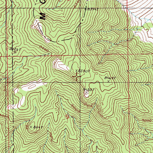 Topographic Map of Woodpeckers Peak, NV