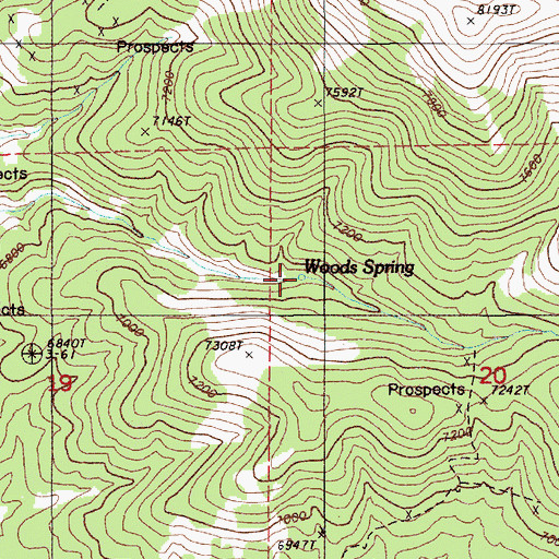 Topographic Map of Woods Spring, NV