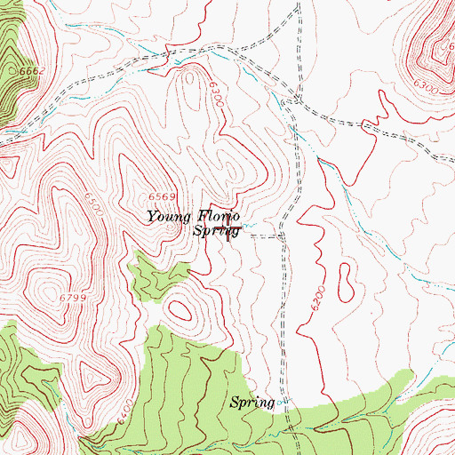 Topographic Map of Young Florio Spring, NV