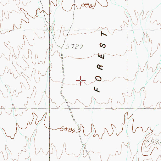Topographic Map of Yucca Forest, NV