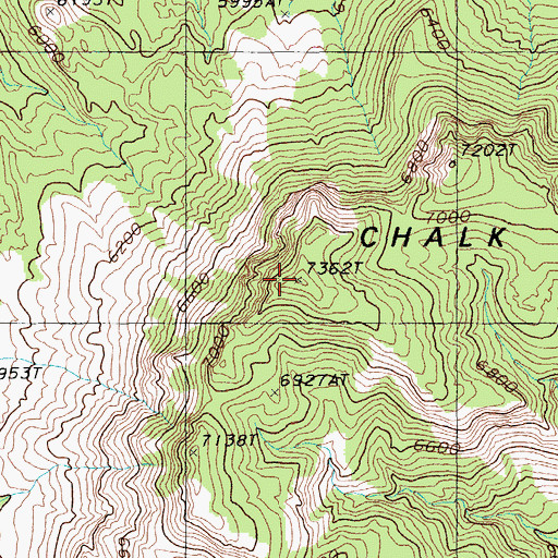 Topographic Map of Chalk Mountain, NV
