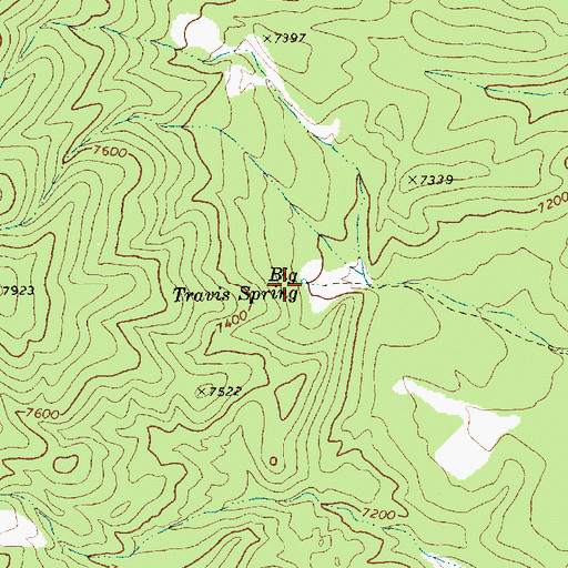 Topographic Map of Big Travis Spring, NV