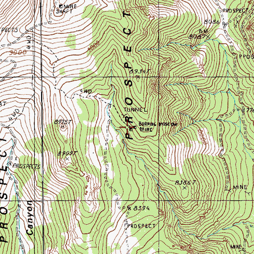 Topographic Map of Burning Moscow Mine, NV