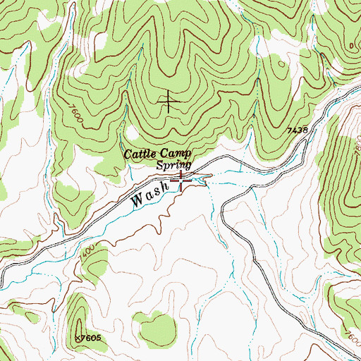 Topographic Map of Cattle Camp Spring, NV