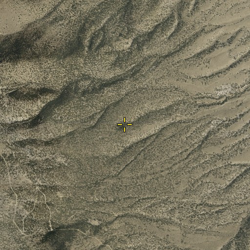 Aerial/Satellite Image of Clay Spring, NV