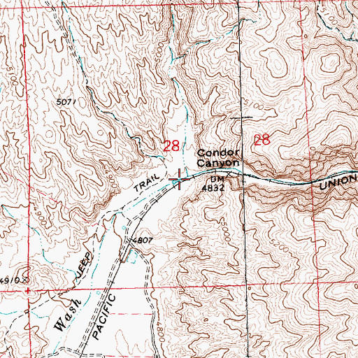Topographic Map of Condor Canyon, NV