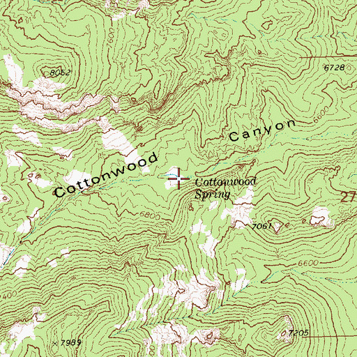 Topographic Map of Cottonwood Spring, NV