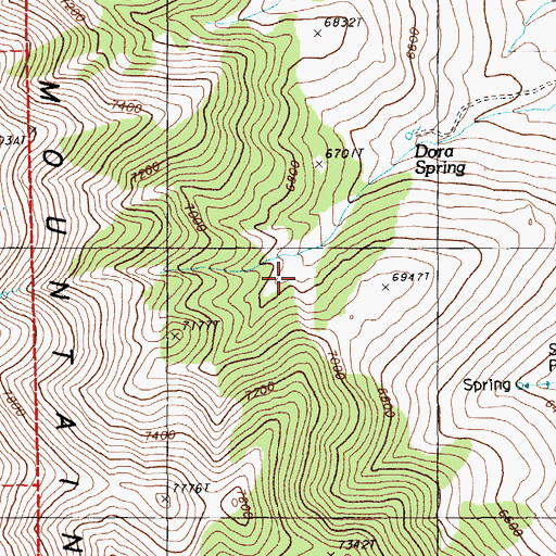 Topographic Map of Dora Spring, NV