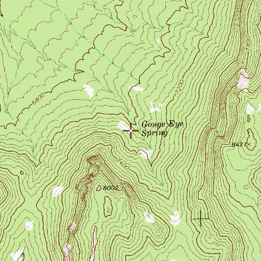 Topographic Map of Gouge Eye Spring, NV