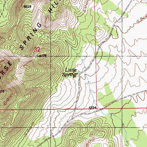 Topographic Map of Little Spring, NV