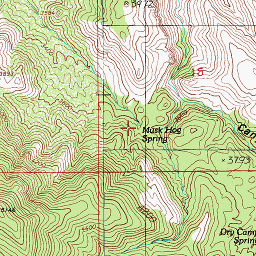 Topographic Map of Musk Hog Spring, AZ
