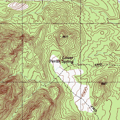 Topographic Map of Lower Perish Spring, NV