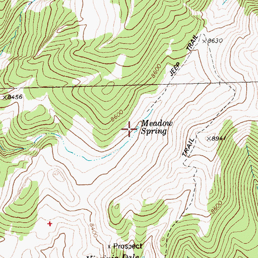 Topographic Map of Meadow Spring, NV