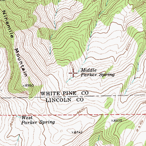 Topographic Map of Middle Parker Spring, NV