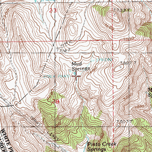 Topographic Map of Mud Springs, NV
