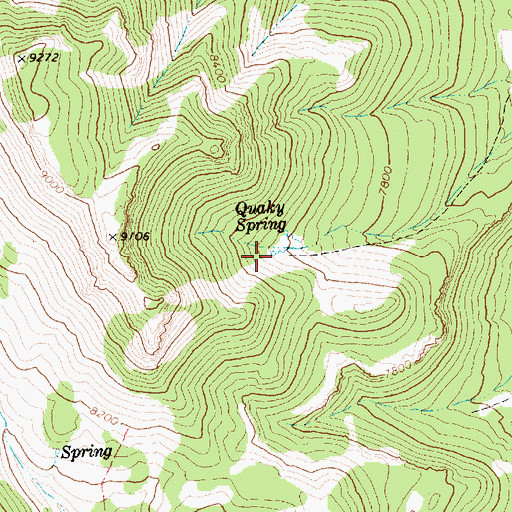 Topographic Map of Quaky Spring, NV