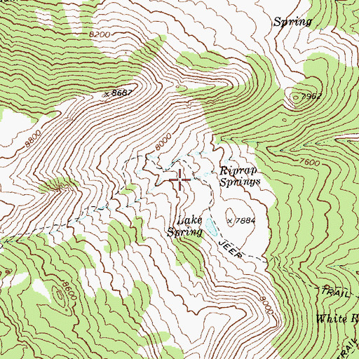 Topographic Map of Riprap Springs, NV