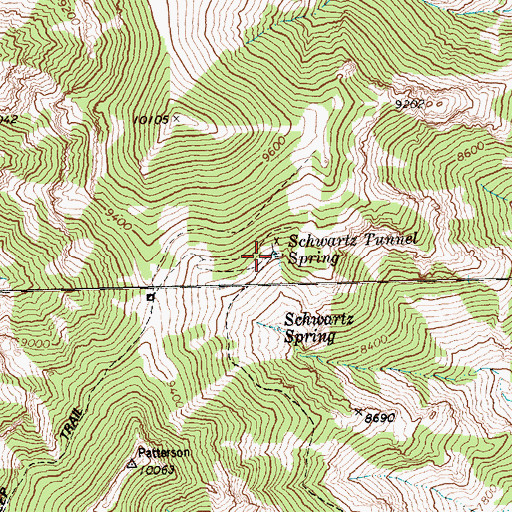 Topographic Map of Schwartz Tunnel Spring, NV