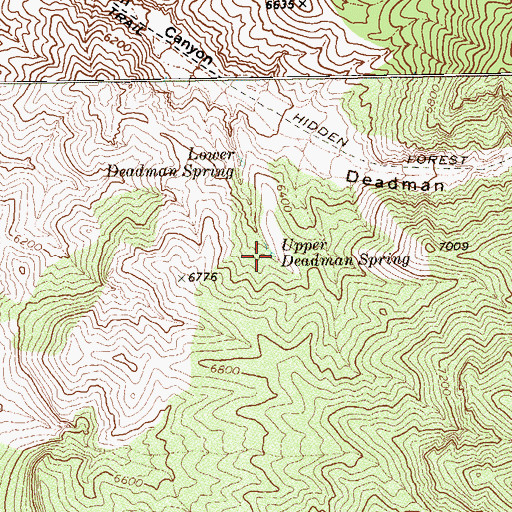 Topographic Map of Upper Deadman Spring, NV