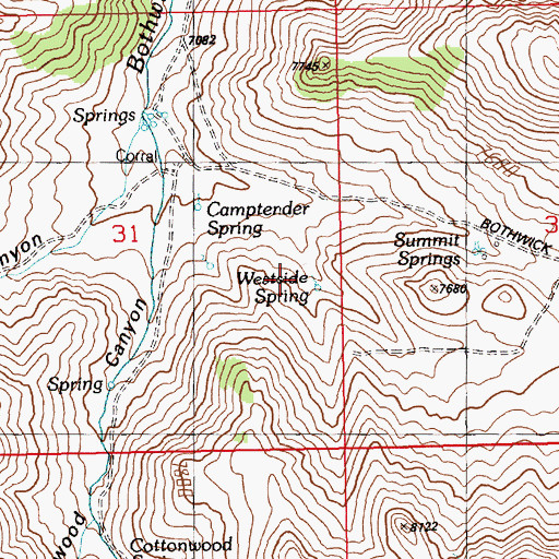 Topographic Map of Westside Spring, NV