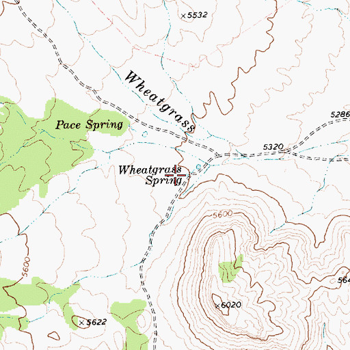 Topographic Map of Wheatgrass Spring, NV