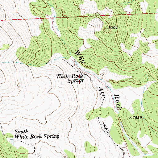 Topographic Map of White Rock Spring, NV