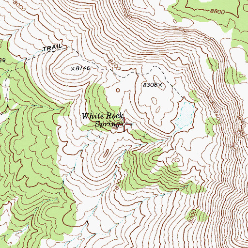 Topographic Map of White Rock Springs, NV
