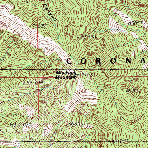 Topographic Map of Muskhog Mountain, AZ