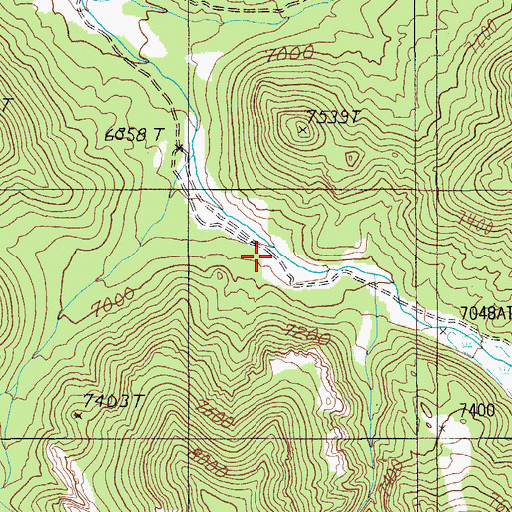 Topographic Map of Longstreets Ranch, NV