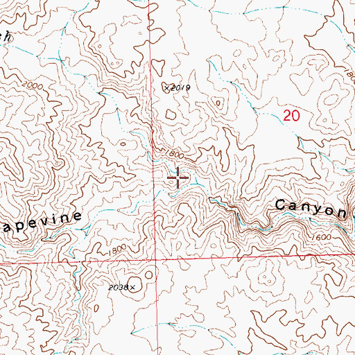 Topographic Map of Sacatone Wash, NV