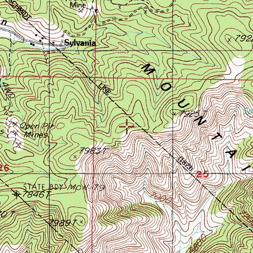 Topographic Map of Sylvania Mountains, NV