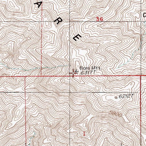 Topographic Map of Bare Mountain, NV