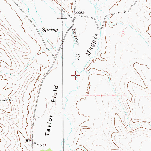 Topographic Map of Beaver Creek, NV
