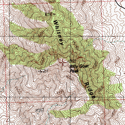 Topographic Map of Billy Goat Peak, NV