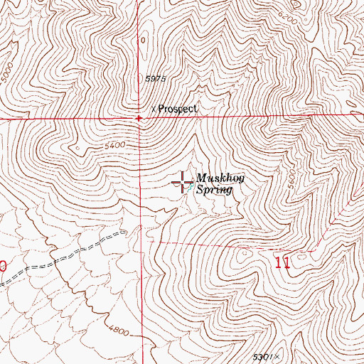 Topographic Map of Muskhog Spring, AZ