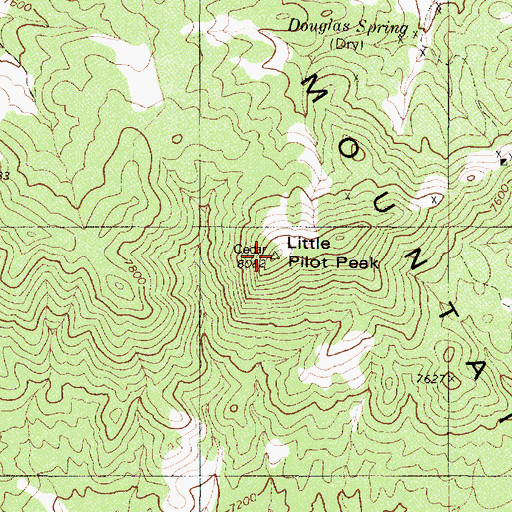 Topographic Map of Cedar Mountains, NV