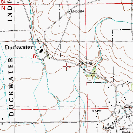 Topographic Map of Duckwater Reservation, NV