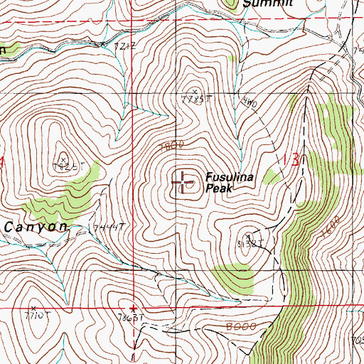Topographic Map of Fusulina Peak, NV