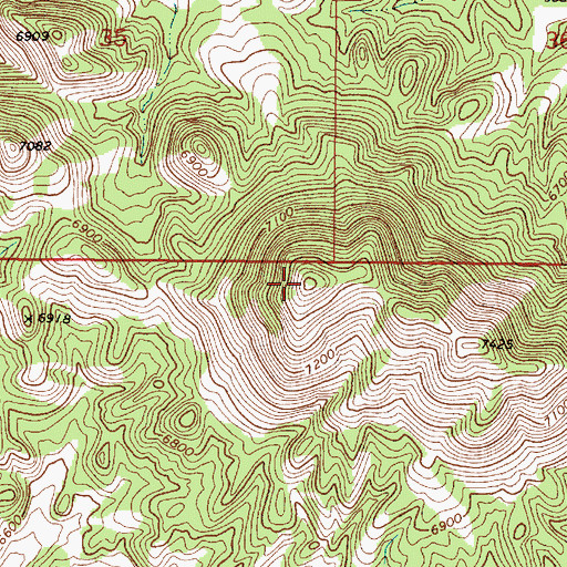 Topographic Map of Grayback, NV