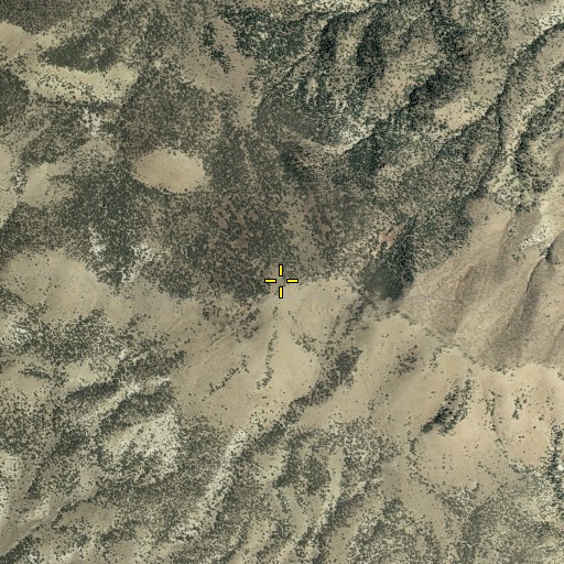 Aerial/Satellite Image of Grayback, NV