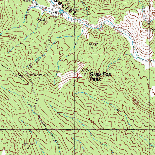 Topographic Map of Grey Fox Peak, NV
