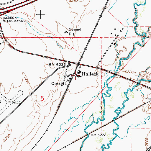 Topographic Map of Halleck, NV