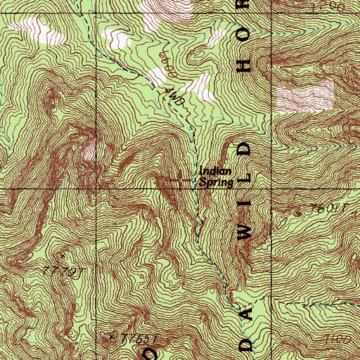 Topographic Map of Indian Spring, NV