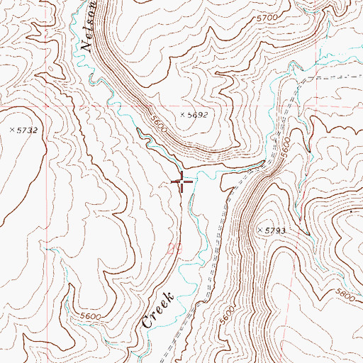 Topographic Map of Nelson Creek, NV