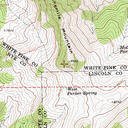 Topographic Map of Ninemile Mountain, NV