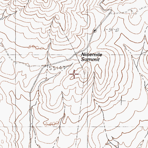 Topographic Map of Ninemile Summit, NV