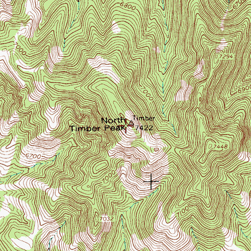 Topographic Map of North Timber Peak, NV