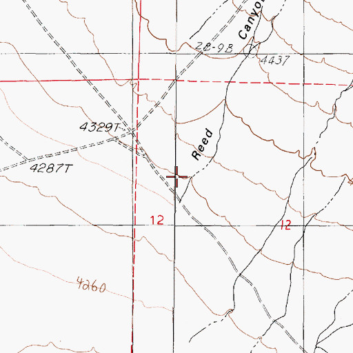 Topographic Map of Reed Canyon, NV